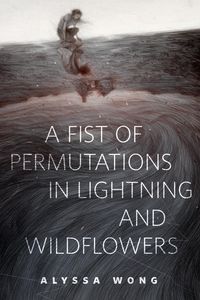 Produktbild: A Fist of Permutations in Lightning and Wildflowers