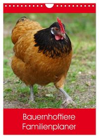 Produktbild: Bauernhoftiere Familienplaner (Wandkalender 2026 DIN A4 hoch), CALVENDO Monatskalender