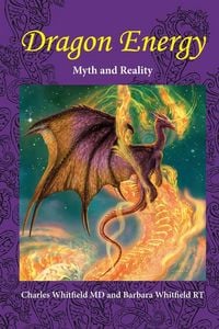 Produktbild: Dragon Energy