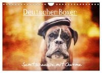 Produktbild: Deutscher Boxer (Wandkalender 2026 DIN A4 quer), CALVENDO Monatskalender