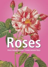 Produktbild: Roses