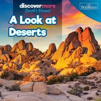 Produktbild: A Look at Deserts