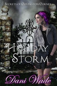 Produktbild: Holiday Storm (Secrets of Covington Corner, #4)