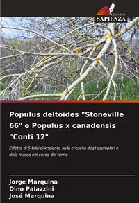 Produktbild: Populus deltoides "Stoneville 66" e Populus x canadensis "Conti 12"