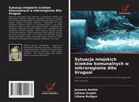 Produktbild: Sytuacja miejskich &iquest;ciek&oacute;w komunalnych w mikroregionie Alto Uruguai