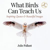 Produktbild: What Birds Can Teach Us