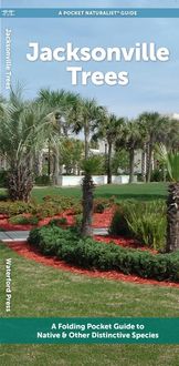 Produktbild: Jacksonville Trees