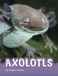 Produktbild: Axolotls
