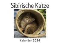 Produktbild: Sibirische Katze (Wandkalender 2024, Kalender DIN A4 quer, Monatskalender im Querformat mit Kalendarium, Das perfekte Geschenk)