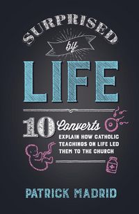 Produktbild: Surprised by Life