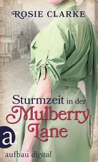 Bild vom Artikel Sturmzeit in der Mulberry Lane vom Autor Rosie Clarke
