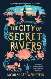 Produktbild: Weinstein, J: The City of Secret Rivers