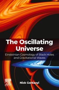 Produktbild: The Oscillating Universe