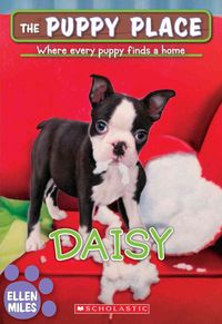 Produktbild: Puppy Place #38 Daisy (the Pup