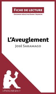 Produktbild: L'Aveuglement de Jos&eacute; Saramago (Fiche de lecture)