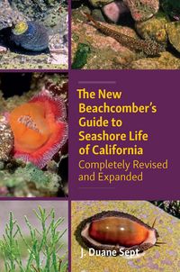 Produktbild: Sept, J: New Beachcomber's Guide to Seashore Life of Califor