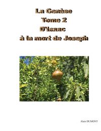 Produktbild: D'Isaac &agrave; la mort de J&eacute;sus
