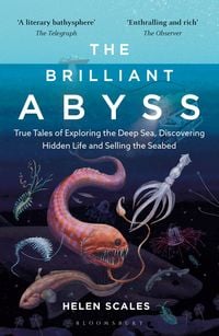 Produktbild: Brilliant Abyss