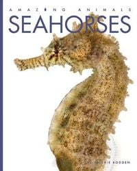 Produktbild: Seahorses