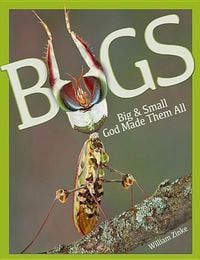 Produktbild: Bugs Big & Small