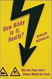 Produktbild: How Risky Is It, Really?: Why Our Fears Don't Always Match the Facts