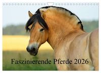 Produktbild: Faszinierende Pferde 2026 (Wandkalender 2026 DIN A4 quer), CALVENDO Monatskalender