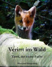 Produktbild: Verirrt im Wald