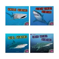 Produktbild: All Abt Sharks-10cy