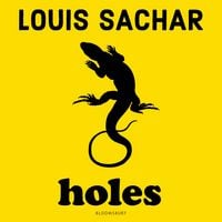 Produktbild: Holes