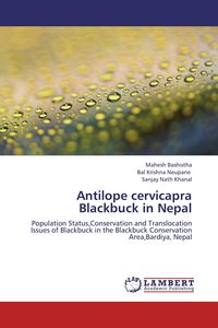 Produktbild: Antilope cervicapra Blackbuck in Nepal