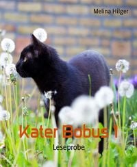 Produktbild: Kater Bobus 1