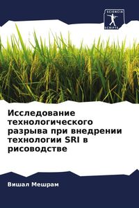 Produktbild: Issledowanie tehnologicheskogo razrywa pri wnedrenii tehnologii SRI w risowodstwe