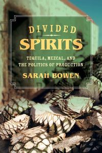 Produktbild: Bowen, S: Divided Spirits