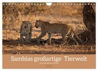 Produktbild: Sambias gro&szlig;artige Tierwelt (Wandkalender 2026 DIN A4 quer), CALVENDO Monatskalender