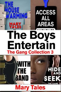 Produktbild: The Boys Entertain (Mary Tales erotic story collections, #10)