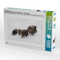 Produktbild: CALVENDO Puzzle Ein Motiv aus dem Kalender Emotionale Momente: Das Wildschwein. / CH-Version | 1000 Teile Lege-Gr&ouml;&szlig;e 64x48cm Foto-Puzzle f&uuml;r gl&uuml;ckliche Stunden