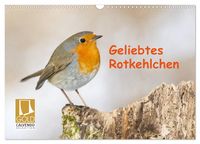 Produktbild: Geliebtes Rotkehlchen (Wandkalender 2026 DIN A3 quer), CALVENDO Monatskalender