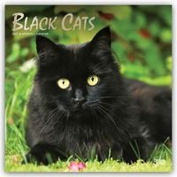 Produktbild: Black Cats &ndash; Schwarze Katzen 2027 &ndash; 16-Monatskalender
