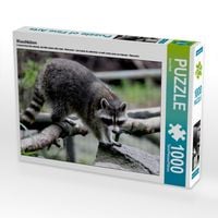 Produktbild: CALVENDO Puzzle Waschb&auml;ren | 1000 Teile Lege-Gr&ouml;&szlig;e 64x48cm Foto-Puzzle f&uuml;r gl&uuml;ckliche Stunden
