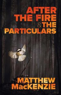 Produktbild: After the Fire & the Particulars