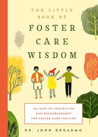 Produktbild: The Little Book of Foster Care Wisdom