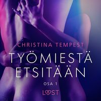 Produktbild: Ty&ouml;miest&auml; etsit&auml;&auml;n Osa 1 - eroottinen novelli