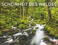 Produktbild Schönheit des Waldes Posterkalender 2027