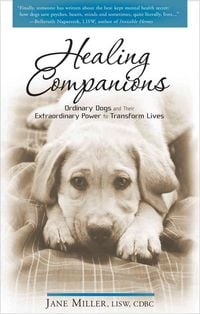 Produktbild: Healing Companions