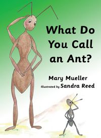 Produktbild: What Do You Call an Ant?