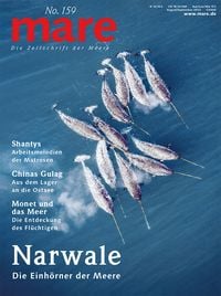 Produktbild: Mare - Die Zeitschrift der Meere / No. 159 / Narwale