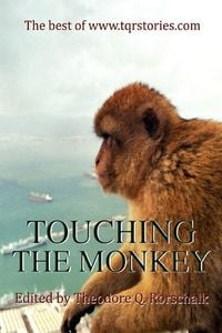 Produktbild: Touching the Monkey