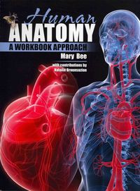 Produktbild: Human Anatomy