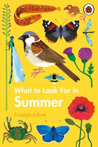 Produktbild: What to Look For in Summer