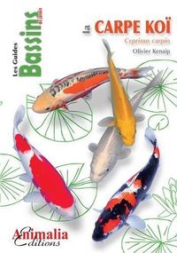 Produktbild: Carpe koi cyprinus carpio